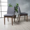 Set Of 2 Dimitri Dining Chair - Christopher Knight Home -Christopher Knight Home GUEST 19c2ca79 f9a7 47e5 bc74 d11e6eb83c51